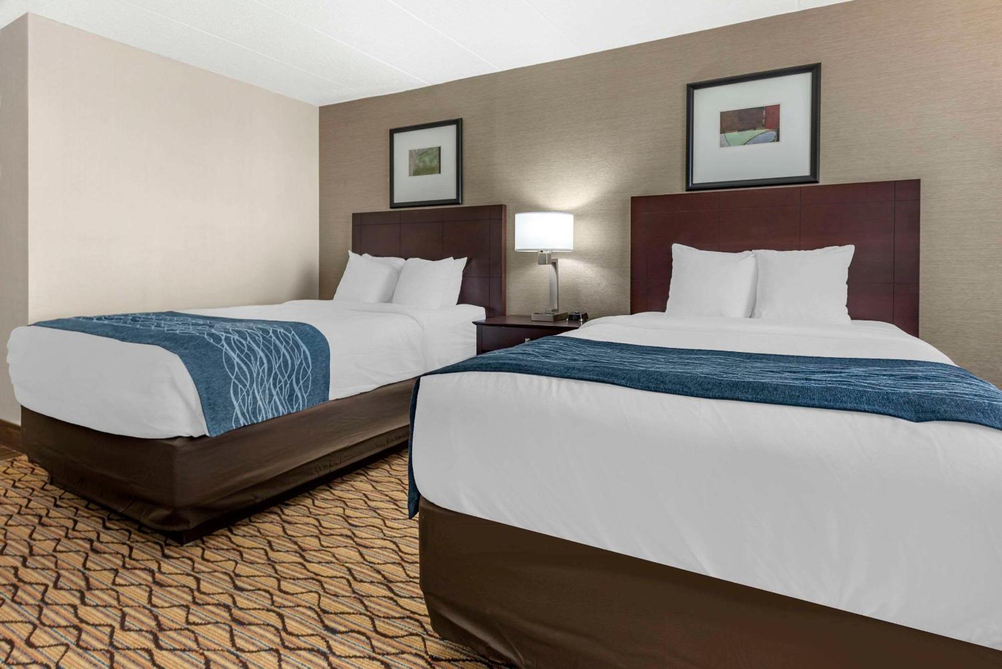 Comfort Inn & Suites Glen Mills - West Chester Zewnętrze zdjęcie